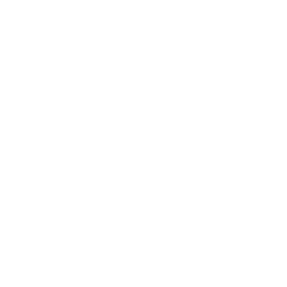 ds_logo